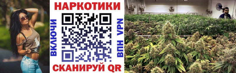 Купить наркоту Балтийск Cocaine  Канабис  Меф  АМФ  ГАШИШ 