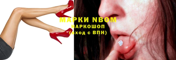 ПСИЛОЦИБИНОВЫЕ ГРИБЫ Арсеньев