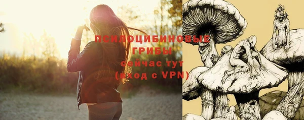 ПСИЛОЦИБИНОВЫЕ ГРИБЫ Арсеньев