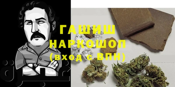 хмурый Магас